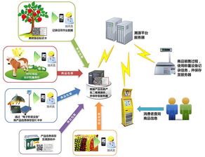 物聯網技術賦能產業升級 防偽、食品安全與新材料研發的革新應用
