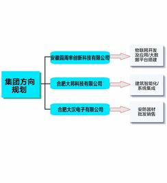 創(chuàng)新引領(lǐng)未來 XX公司新材料技術(shù)研發(fā)實(shí)力全覽